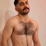 zaynhawk1