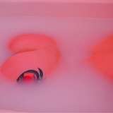 peepeach